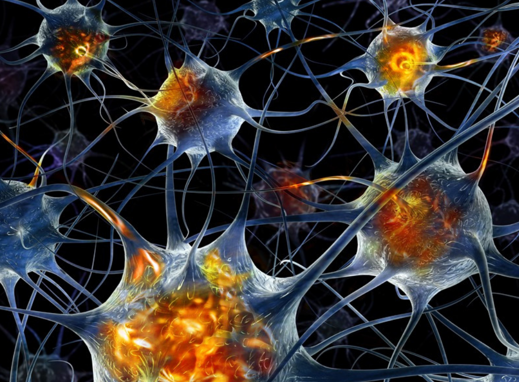 Нейронные связи под микроскопом. Клетки мозга под микроскопом. Нейроны мозга под микроскопом. Нейронные связи головного мозга.