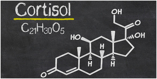 detectx cortisol