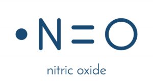 Nitric Oxide is known as the “miracle molecule” because it helps facilitate many crucial functions in the human body, including regulating blood pressure & circulation and reducing inflammation in normal circumstances.