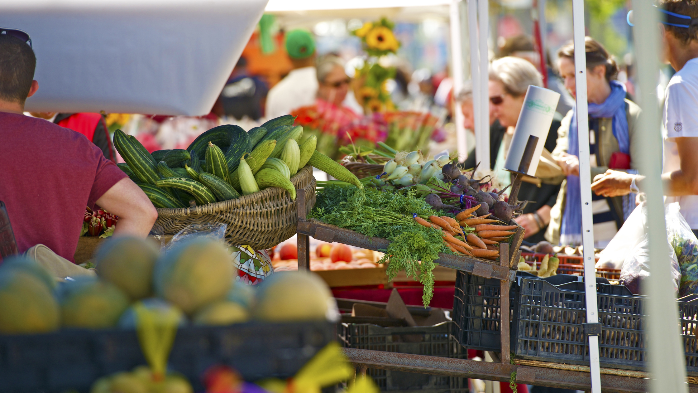 Farmer's market